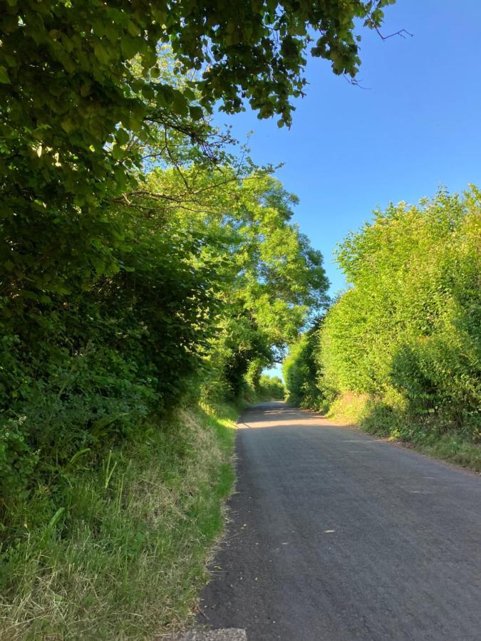 Barn In Somerset Romantic Hideaway Nettlecombe  Εξωτερικό φωτογραφία