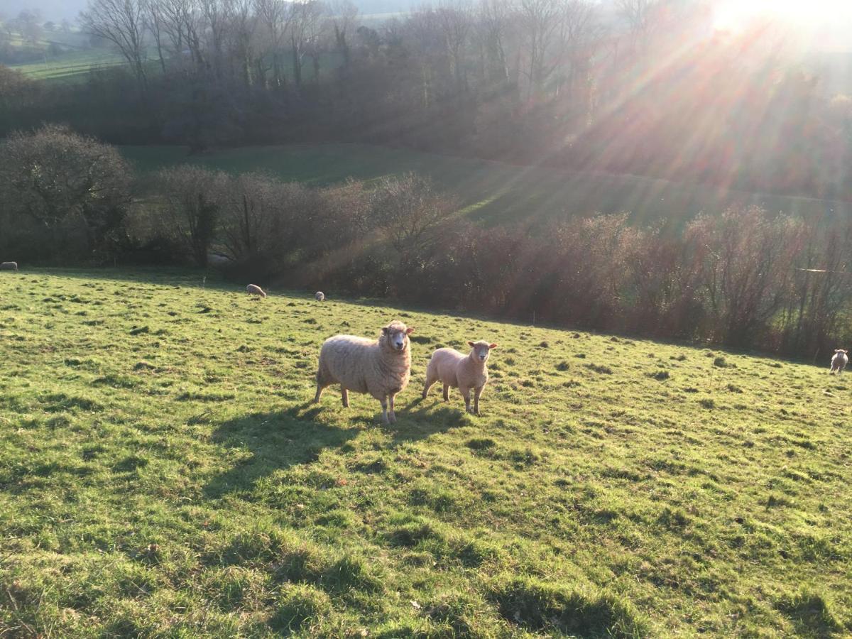 Barn In Somerset Romantic Hideaway Nettlecombe  Εξωτερικό φωτογραφία