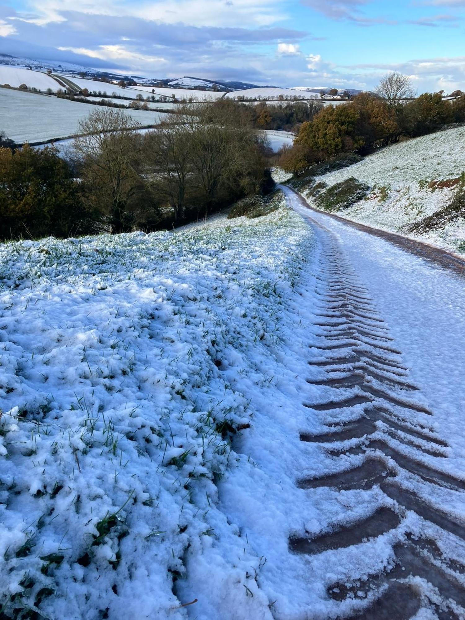 Barn In Somerset Romantic Hideaway Nettlecombe  Εξωτερικό φωτογραφία